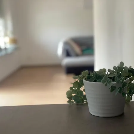 Mit Parkblick * Gratkorn